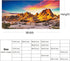 YongFoto Reptile Terrarium Background 30x18 inch, Desert Rocky Bush Thorns Western Wilderness Habitat Background