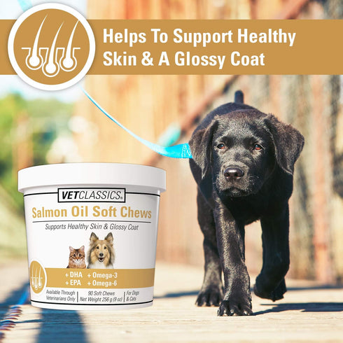 Vet Classics Salmon Oil Pet Supplement - Healthy Skin & Glossy Coats, Soft Chews 90 Ct.