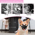 YAODHAOD Nylon Mesh Breathable Dog Mouth Cover, Quick Fit Dog Muzzle with Adjustable Straps to Prevent Biting (M, Black)