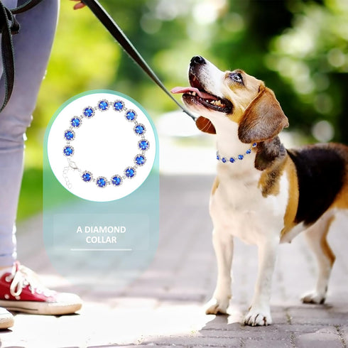 PRETYZOOM Pet Necklace - Rhinestone Dog Collar for Small Dogs, Wedding Collar for Puppies and Kittens