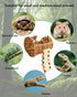 Aiqriwv Hermit Crab Hideout with Natural Wood Ladder - Aquarium Climbing Bridge Ramp for Small Animals - Habitat