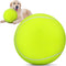 QDAN Giant Large Tennis Ball for Dogs: 9.5" Yellow Dog Tennis Ball for Outdoor Play, Big Dog Toy