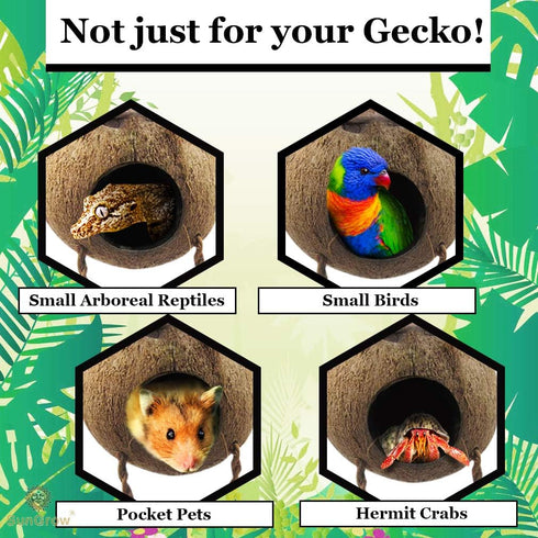 SunGrow Leopard Gecko Coconut Husk Hut - Cave Habitat with Ladder and Shell Opening, 1 Pc per Pack