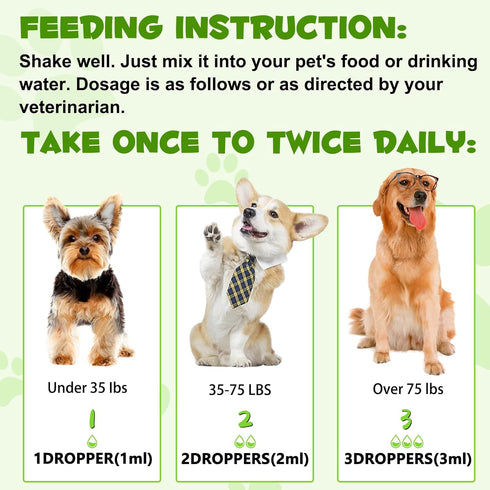 3-in-1 Dog Probiotics for Digestive Support, Liquid Probiotic Supplements for Dogs, Pet Probiotics | 2 Oz