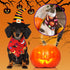 50 Pack Xuniea Halloween Dog Bandanas Large Dog Bib Scarf Pet Bandana Handkerchief Accessories for Medium Small Puppy