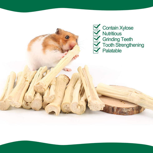 500g Chinchilla BWOGUE Pet Snacks Sweet Bamboo Chew Toy for Squirrel Rabbits Guinea Pigs Hamster