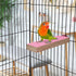 Parrot Wooden Perch Platform Playground for Macaw, African Greys, Budgies, Cockatiels, Random Color Cage Accessories