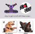 PHOEPET No Pull Dog Harness for Small Dogs - Reflective Adjustable Front Clip Vest with Handle (XS, Purple)