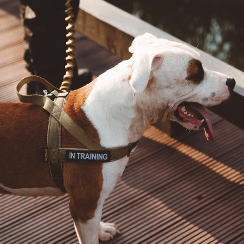 EXCELLENT ELITE SPANKER No Pull Dog Harness Padded Military Patrol Vest Adjustable Nylon Small Service Walking Harness