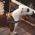 EXCELLENT ELITE SPANKER No Pull Dog Harness Padded Military Patrol Vest Adjustable Nylon Small Service Walking Harness