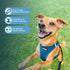 Best Pet Supplies - All Weather Mesh Reflective No Pull Harness for Small & Medium Dogs, Turquoise, Size L