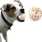 Dog Balls, Indestructible Toy Ball for Aggressive Chewers, Durable Interactive Ball for Training (2.5in, 1pcs)