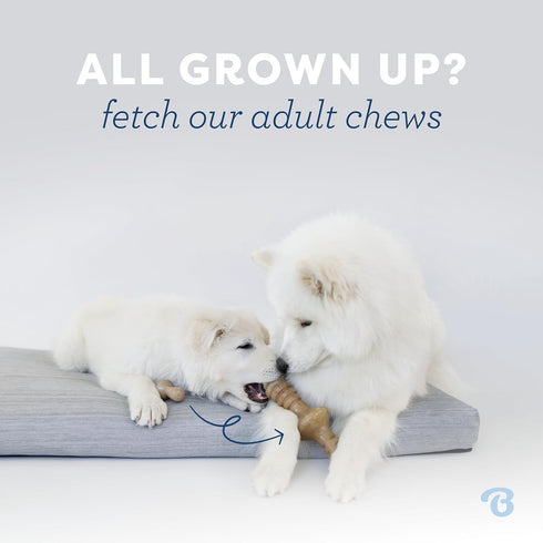 Benebone Puppy Fishbone Dog Chew Toys, Softer for Modest Chewers, Made in USA