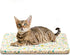 Magic Dog Random Color X-Small Dog Bed - Super Soft Pancake Style Crate Pad for Dogs - 22-Inch
