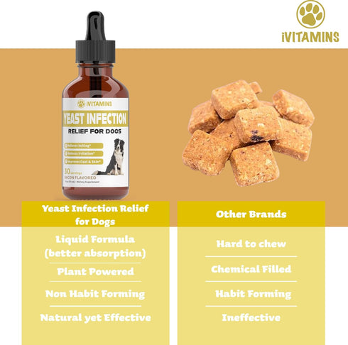 Natural Yeast Infection Treatment for Dogs | Supports Itch Relief & Inflammation Relief | 1 fl oz