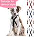 4 4 Sanwuta Pieces Dog Diaper Suspenders Male Female Adjustable Pet Diaper Keeper Suspender for Dog Skirt Dress Pet