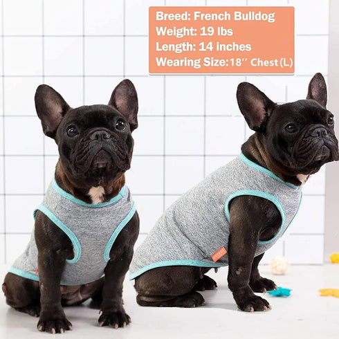 KYEESE 2 Pack Dog Shirts, Sun Protection Quick Dry Soft Stretchy T-Shirts with Reflective Label for Small Medium Dogs,