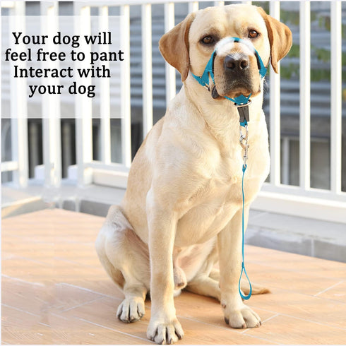 BARKLESS Soft No-Pull Head Collar for Dogs, Adjustable Halter Harness for Easy Training & Walking