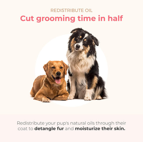 PAWFUME 2-in-1 Pet Brush - Dog & Cat Grooming Brush, Soft Brush for Long & Short Haired Pets