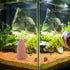 Ipetboom Spawning Bucket Set, Slate Stone Aquarium Angel Fish Live Angelfish Spawning Cone for Fish Eggs Cones Clay Rock