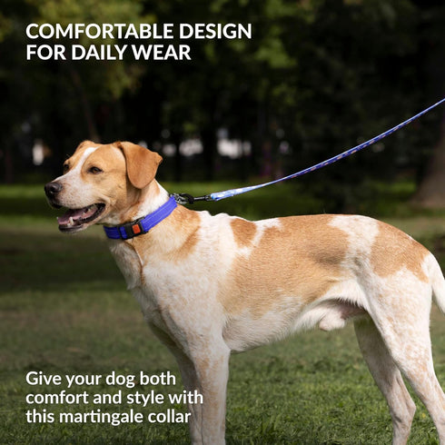 CollarDirect Martingale Dog Collar with Stainless Steel Chain, Reflective Quick Release Buckle for Medium Dogs, Blue