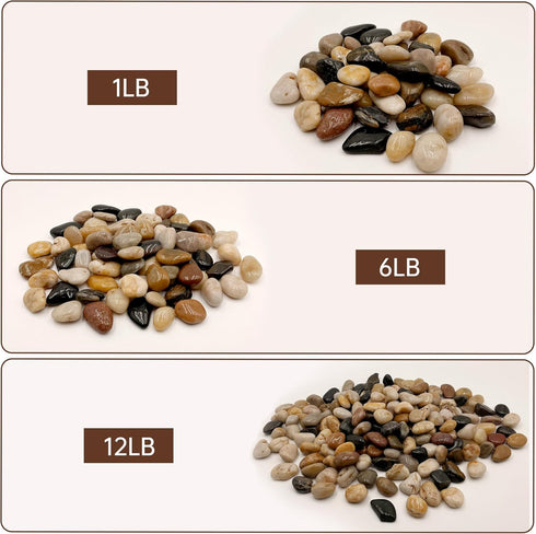 6 Pound Pebbles, 1-3cm Pea Gravel River Rocks for Indoor Plants and Fish Tank Aquariums