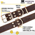 ADITYNA Heavy Duty Black Leather Dog Collar - Soft Medium Dog Collar for Walking, Training, Hiking, Running