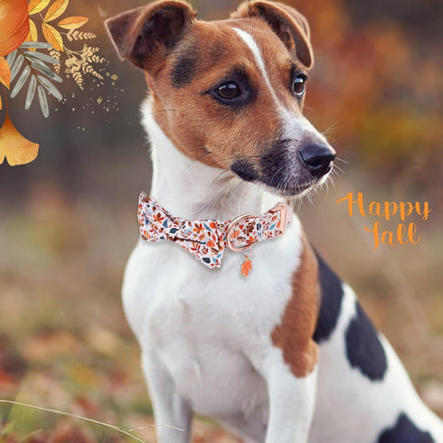Faygarsle Bow Tie Halloween Fall Dog Collar, Fashionable Cotton Collar with Metal Buckle for Small Medium Large Dogs
