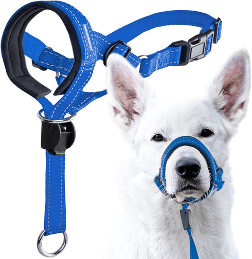 GoodBoy Dog Head Halter with Safety Strap, Padded Headcollar for Small Medium and Large Dogs, Size 4, Blue Nylon