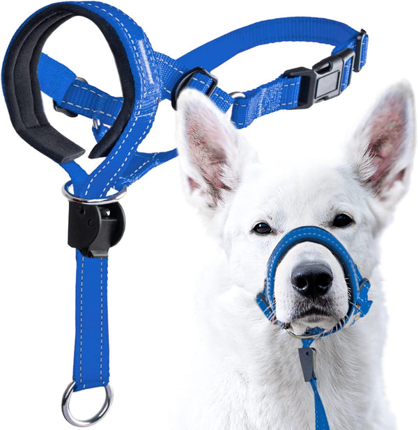 GoodBoy Dog Head Halter with Safety Strap, Padded Headcollar for Small Medium and Large Dogs, Size 4, Blue Nylon