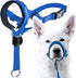 GoodBoy Dog Head Halter with Safety Strap, Padded Headcollar for Small Medium and Large Dogs, Size 4, Blue Nylon