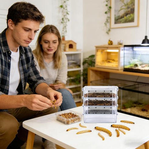 Genrico 4 Flour Breeding Kit Breeding Kit with Mesh of Levels | for with Handle | for Sugar Petaurus, Reptiles