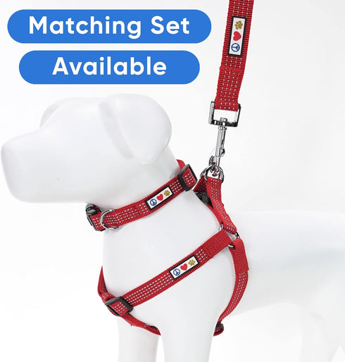 Pawtitas 6 FT Heavy Duty Dog Training Leash, Reflective Threads, Comfortable Handle, Small Dog Red Leash