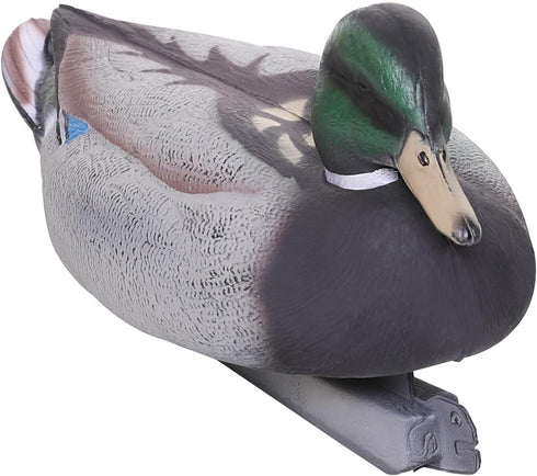 Realistic Mallard Duck Models, Hunting Decoys and Ornaments for Enthusiasts