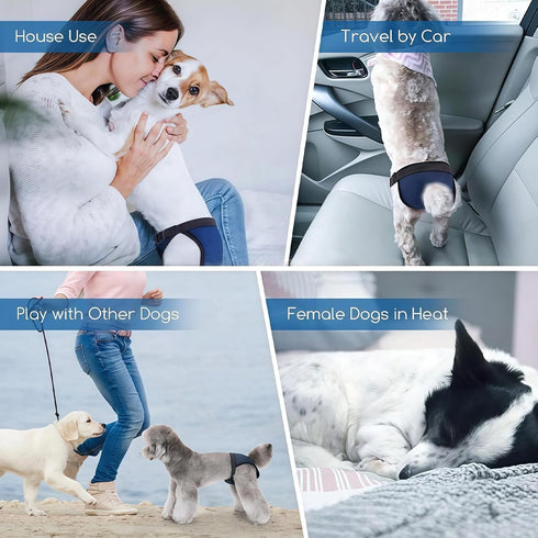 NIHUIFA Reusable Dog Diaper Comfortable Adjustable Waistband Nappies Protective Pants for Pet Female Dog Heat Outdoor