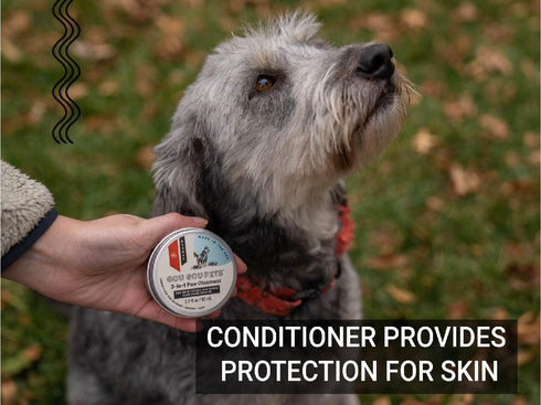 3-in-1 Paw Ointment Holistic Natural Derived Herbal for Dogs, Cats, Horses: Conditioning & Moisturizing for Paws - 1 oz