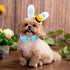 Dog Collar Easter Gift with Bow Tie, Adjustable Rabbit Egg Collar for Small Medium Large Boy & Girl Dogs, XL, Neck