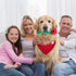 Weewooday 2 Pieces Valentine’s Day Dog Chew Toys, Durable Rose Chew Toys and Kisses Bandana for Small and Medium Pets