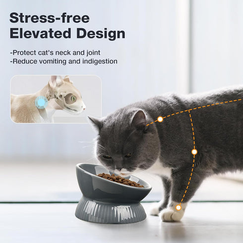 Elevated Cat Bowl, Ceramic Tilted Cat Food Bowl, Anti Vomiting, Stress Free on Neck and Spine, Spill-Proof, Anti-Tipping, Dishwasher Safe, Raised Cat Bowls for Indoor Cats, Dry/Wet Food, Grey