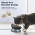 Elevated Cat Bowl, Ceramic Tilted Cat Food Bowl, Anti Vomiting, Stress Free on Neck and Spine, Spill-Proof, Anti-Tipping, Dishwasher Safe, Raised Cat Bowls for Indoor Cats, Dry/Wet Food, Grey