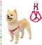 PUPTECK No Pull Dog Harness, Soft Adjustable Basic Nylon Step in Puppy Vest for Outdoor Walking, Deep Pink