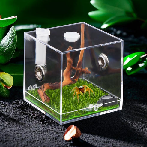9 Pcs Tarantula Micro Water Bowl, Mini Resin Dish Tiny Bowl for Spider Tarantula Millipede Insect (Small: 1" D, 0.39" H)