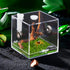 9 Pcs Tarantula Micro Water Bowl, Mini Resin Dish Tiny Bowl for Spider Tarantula Millipede Insect (Small: 1" D, 0.39" H)
