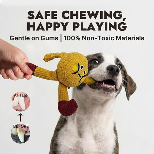 Squeaky Dog Chew Toy Teething Interactive Plush Stuffed Toys with Squeaker Crinkle Paper for Small Medium Breed Tough