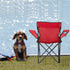 BTinoe 250 Camping Chair,Portable Lightweight Foldable Chair,Camping Directors Chairs Supports Pounds
