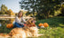 Lionet Paws Halloween Dog Collar with Bowtie - Cute Adjustable Cotton Fall Bowtie Collar for Small Medium Large Dogs