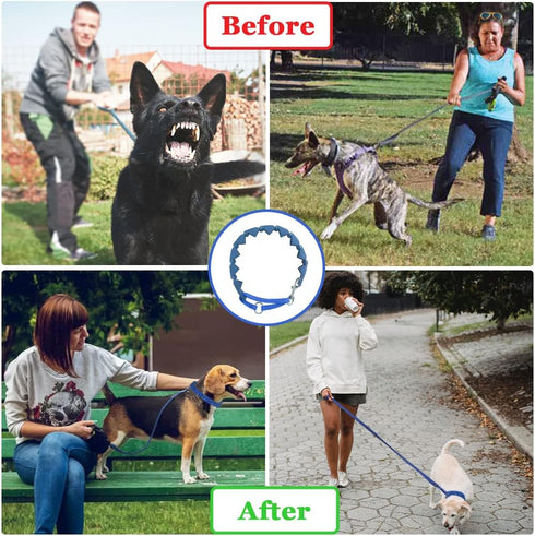 Dog Training Collar with 4 Extra Links for Medium, Large and X-Large Dogs (Blue)