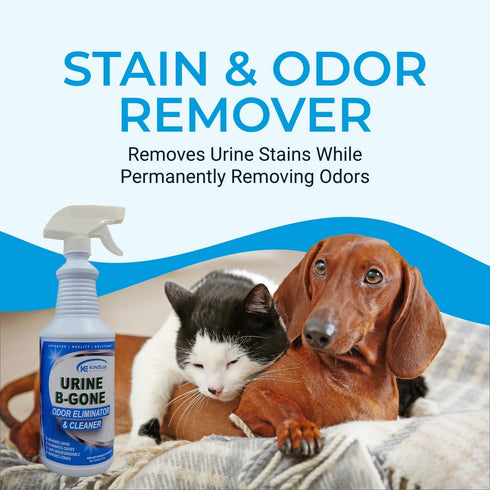 Urine B-Gone, Professional Enzyme Odor Eliminator & Pet Stain Remover, Human, Cat & Dog Urine Cleaner, Effective on Laundry, Carpets & More, Original Scent, 32oz