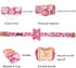 Elegant little tail Dog Collar with Flower, Adjustable Pink Floral Dog Collar Gift for Large Female Dogs