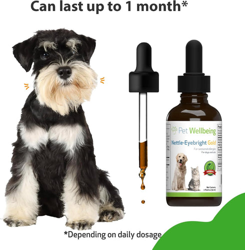 Pet Wellbeing Nettle-Eyebright Gold for Dogs - Natural Herbal Supplement for Allergies, 2 oz